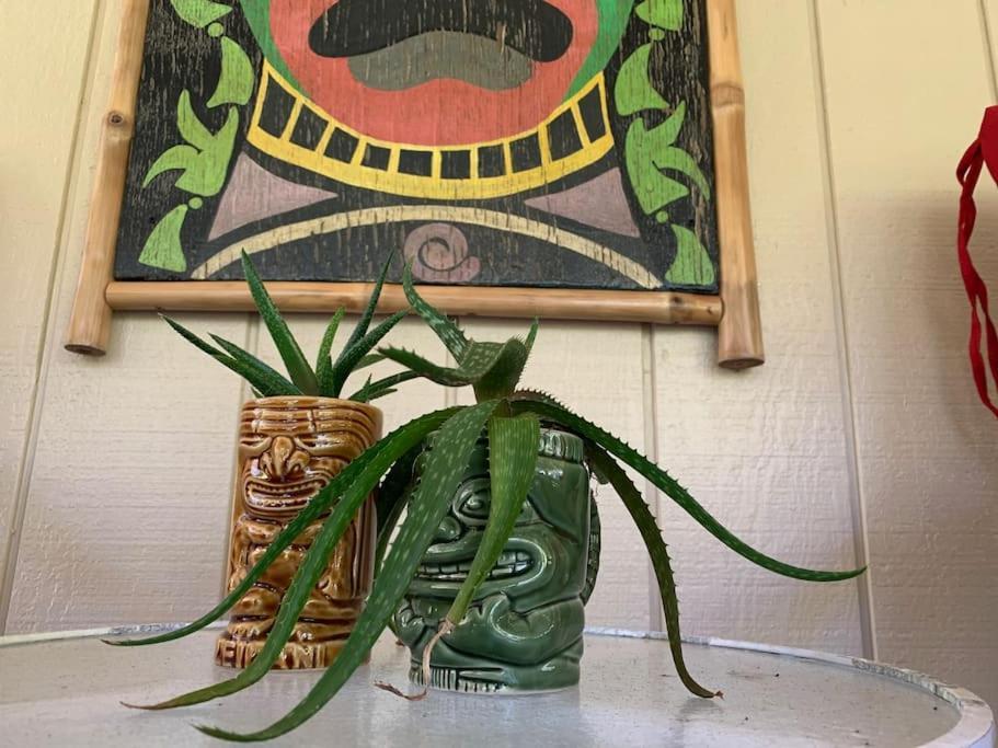 Hau'Oli Place Tiki Cottage In Volcano Eksteriør bilde