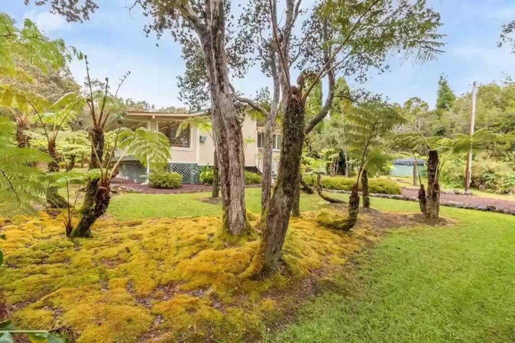 Hau'Oli Place Tiki Cottage In Volcano Eksteriør bilde