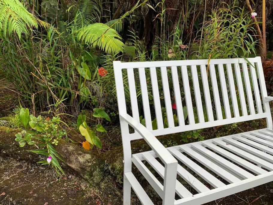 Hau'Oli Place Tiki Cottage In Volcano Eksteriør bilde